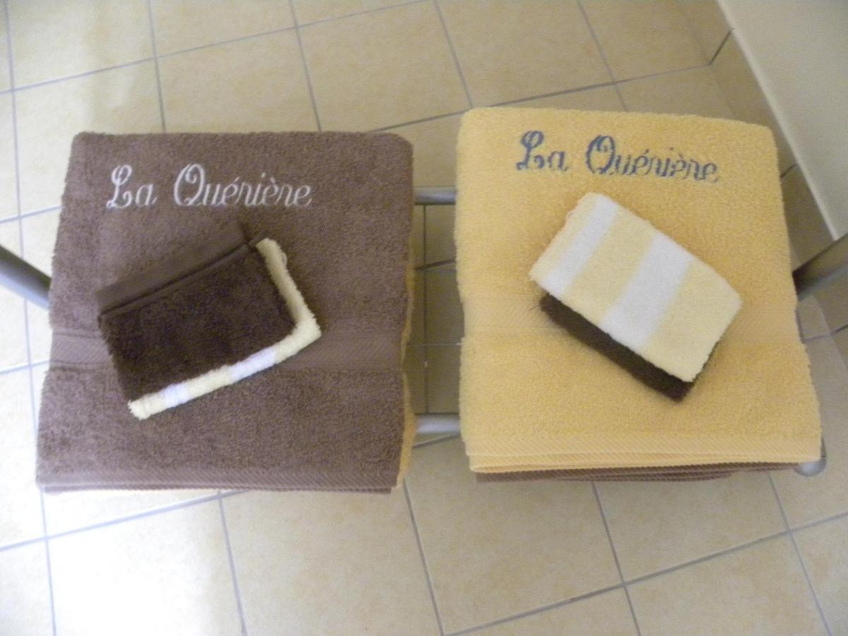 Chambres D'Hotes La Queriere Mur-de-Sologne Luaran gambar