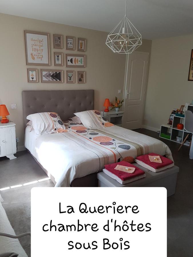 Chambres D'Hotes La Queriere Mur-de-Sologne Luaran gambar