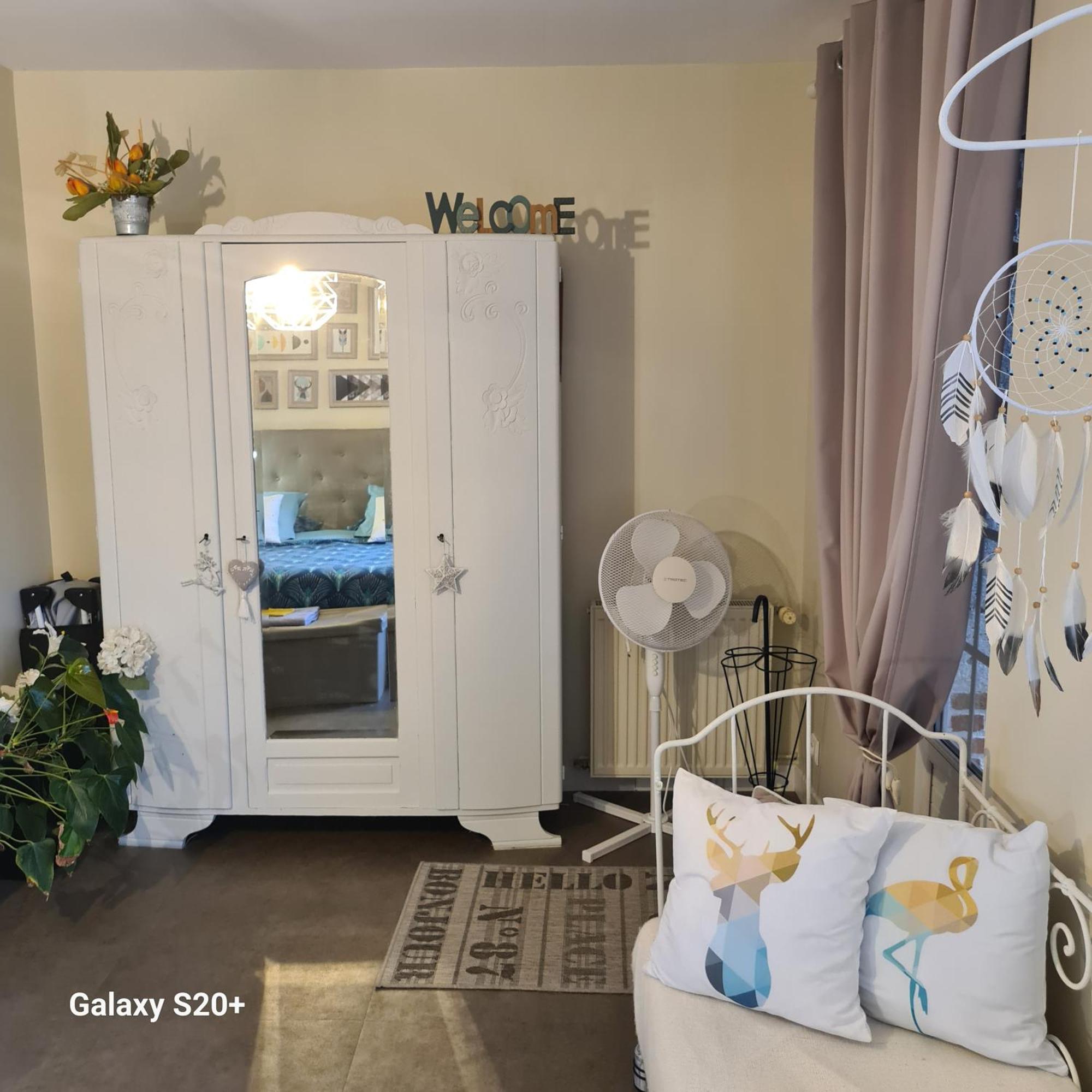 Chambres D'Hotes La Queriere Mur-de-Sologne Luaran gambar